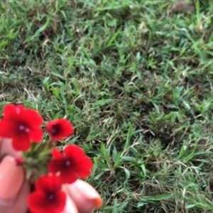 Meet your Posher, Leslie